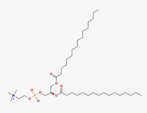 Figure 1. The structure of 1,2-Dihexadecanoyl-sn-glycero-3-phosphorylcholine  (Image adapted from PubChem)